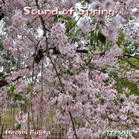 Sound of Spring - Hiroshi Fujita